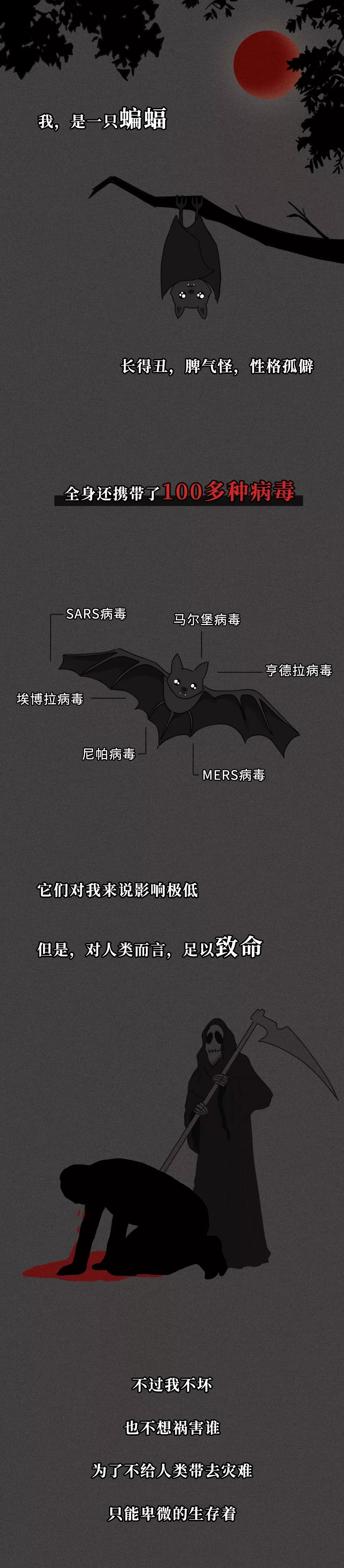 武汉莫慌，我们等你！一个全网刷屏的城市宣传片