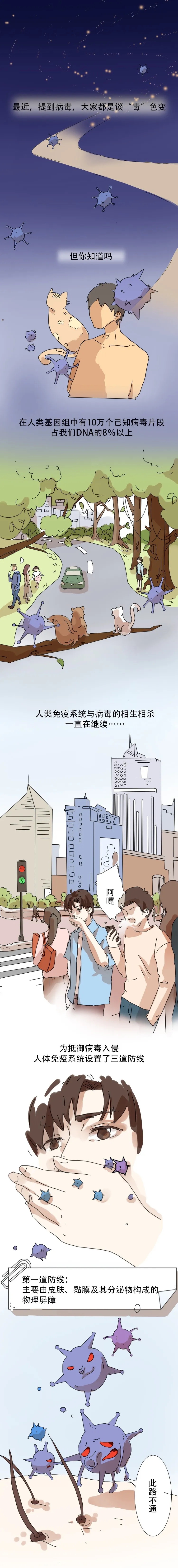 最萌手绘长图告诉你，免疫细胞和病毒战斗全过程！